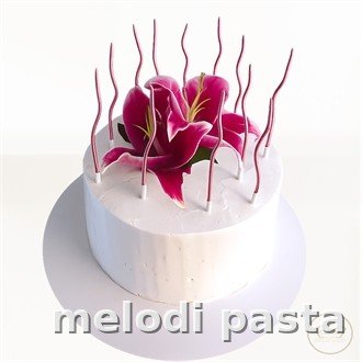 Retro Pasta